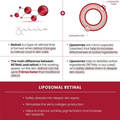 Korean Skincare Ginseng Facial Essence 1988 Black Gingeng Extract Glow Face Serum Improve Skin Elasticity Brighten Dull Dry Skin